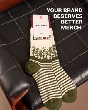 Image post by @sockfancy on Instagram