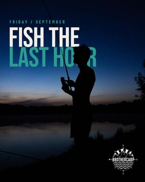 Image post by @brothercarp on Instagram