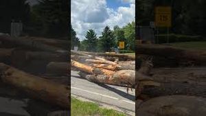 Video post by @butlereaglenews on YouTube