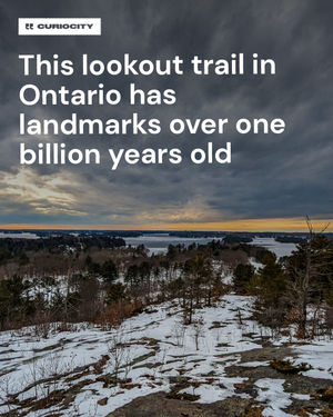 Image post by @curiocitytoronto on Instagram