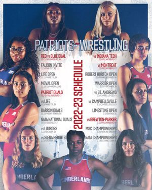 Image post by @UCumberlandsWW on Twitter