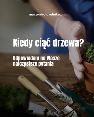 Image post by @marzenieogrodnika.pl on Instagram