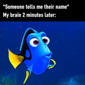 Image post by @9gag on Instagram
