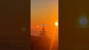 Video post by @allisonhollandmedia on YouTube