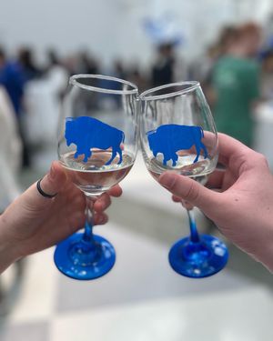 Image post by @universityatbuffalo on Instagram