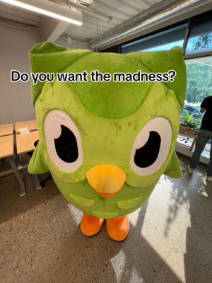 Image post by @duolingo on TikTok