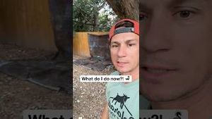 Video post by @dudedad on YouTube