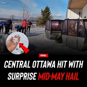 Image post by @shottawa.tv on Instagram
