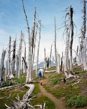 Image post by @fieldmag on Instagram