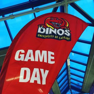 Image post by @ucalgarydinos on Instagram