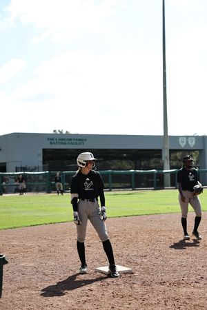 Image post by @USFSoftball on Twitter