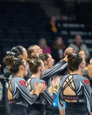 Image post by @redbirdgymnastics on Instagram
