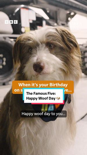 Video post by @cbbc on TikTok