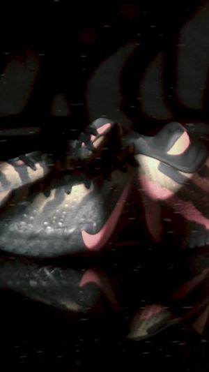 Video post by @jdsports on TikTok