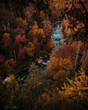 Image post by @g.starcreative on Instagram