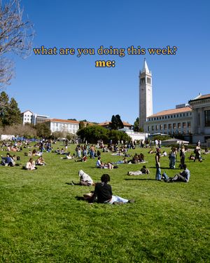 Image post by @ucberkeleyofficial on Instagram