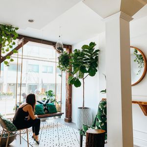 Image post by @energytreeanne on Instagram