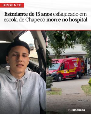 Image post by @dechapeco on Instagram