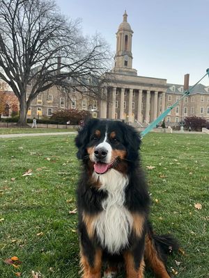 Image post by @pennstatechicks on Instagram