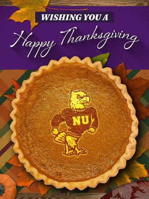 Image post by @nupurpleeagles on Instagram