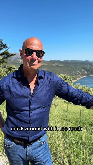Video post by @stanley.tucci on TikTok
