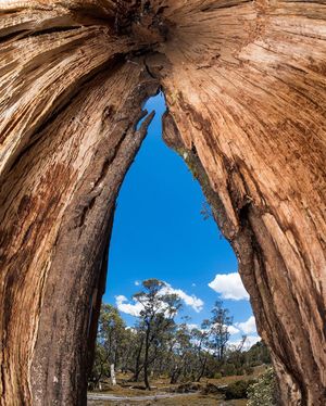 Image post by @robertirwinphotography on Instagram