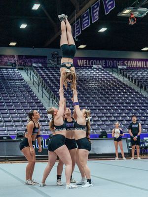 Image post by @sfa_cheer_ on Instagram