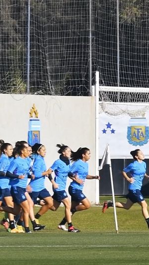 Image post by @afaseleccion on Instagram