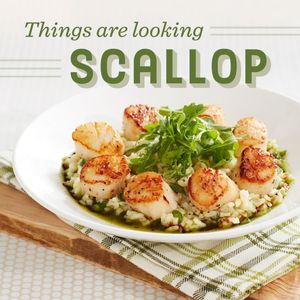 Image post by @houlihans on Instagram