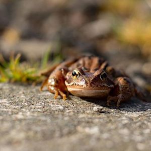 Image post by @rspb on Instagram