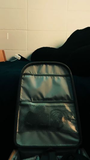 Video post by @fadedshoot on TikTok