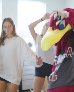 Image post by @uofscstudents on Instagram