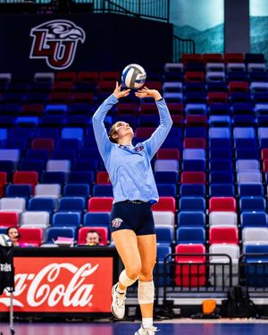 Image post by @libertywvb on Instagram
