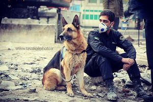 Image post by @tavakolipix on Instagram