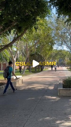 Image post by @csulbstudent on Instagram