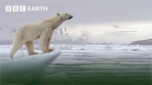 Video post by @bbcearth on YouTube