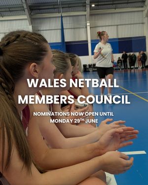 Image post by @walesnetball_ on Instagram