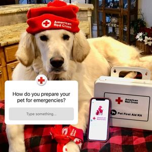 Image post by @americanredcross on Instagram