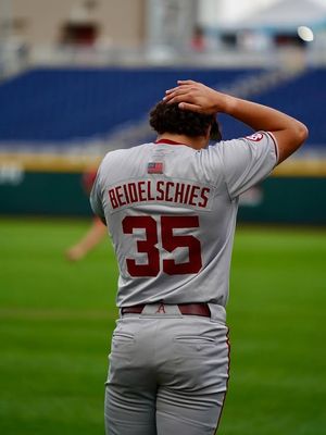 Image post by @hogsplus on Instagram