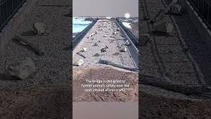 Video post by @accuweather on YouTube