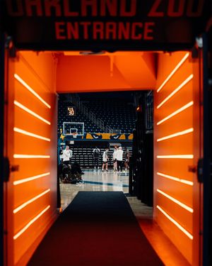 Image post by @bonnies_mbb on Instagram