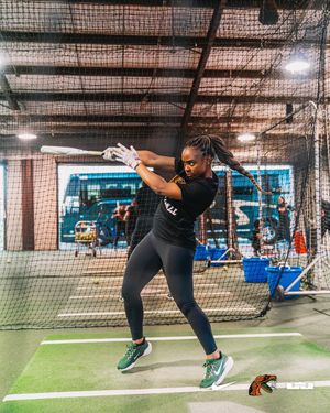 Image post by @famu_softball on Instagram