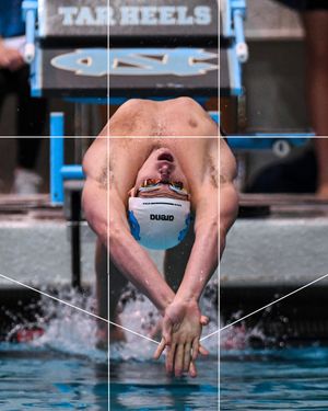 Image post by @uncswimdive on Instagram