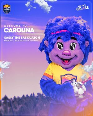 Image post by @carolinaascentfc on Instagram