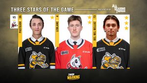 Image post by @StingHockey on Twitter