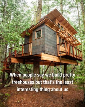 Image post by @nelsontreehouse on Instagram