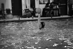 Image post by @fordhamwpolo on Instagram