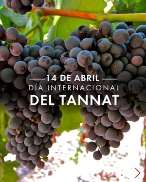 Image post by @riedelpartner_vnzla on Instagram