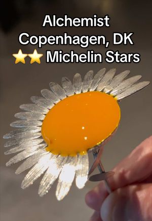 Video post by @highspeeddining on TikTok