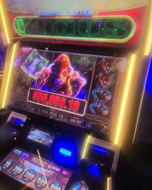 Image post by @palms on Instagram